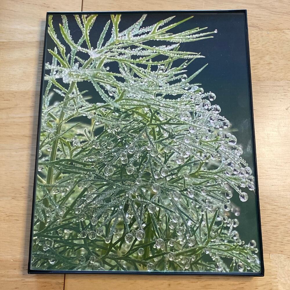 Original 8”x10” Framed photo